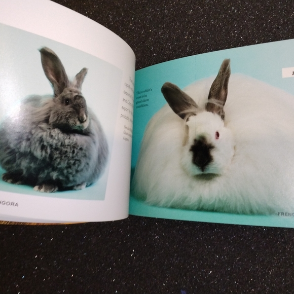 Rabbit Breeds: The Pocket Guide to 49 Essential Breeds Paperback - Picture 4 of 4